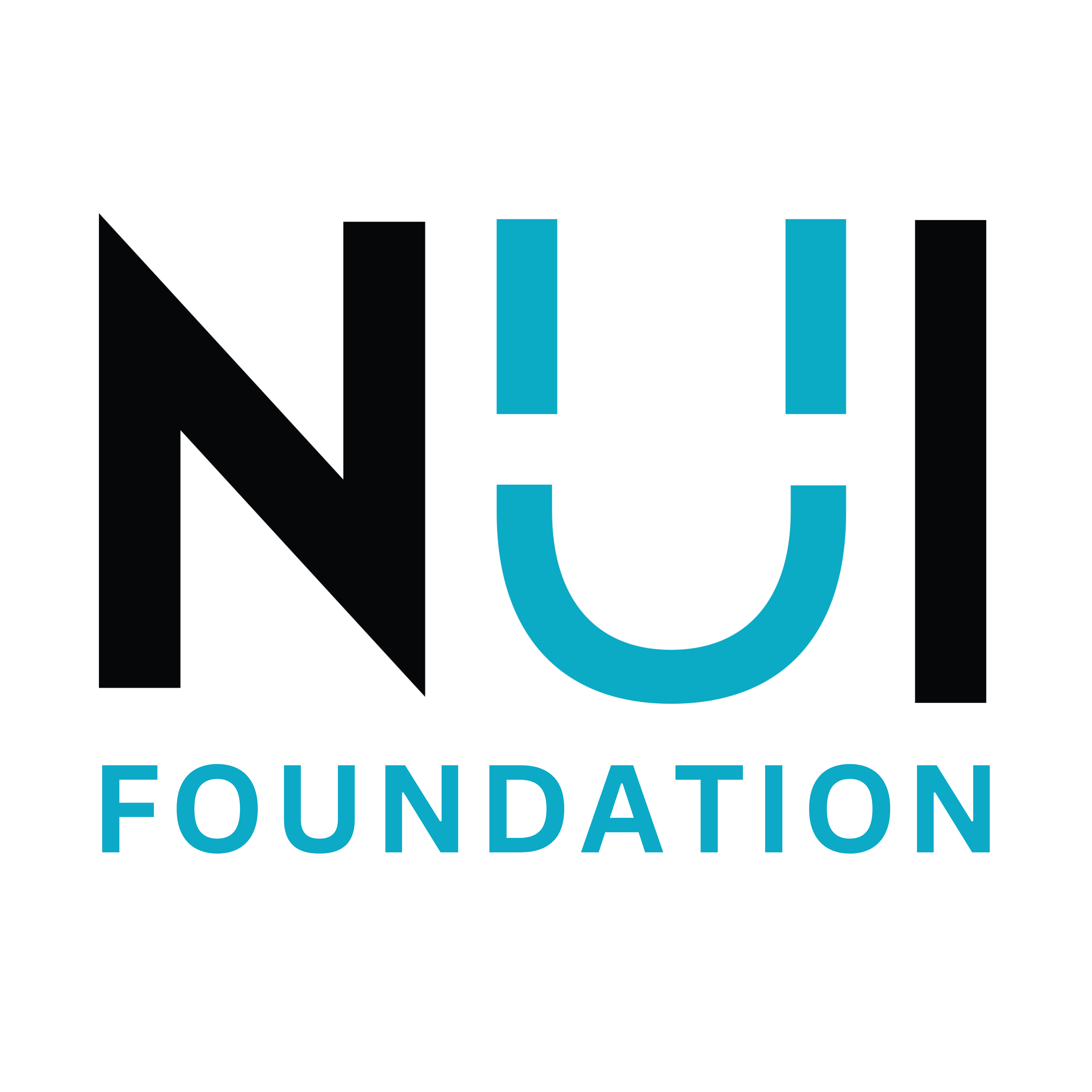 NUI Foundation